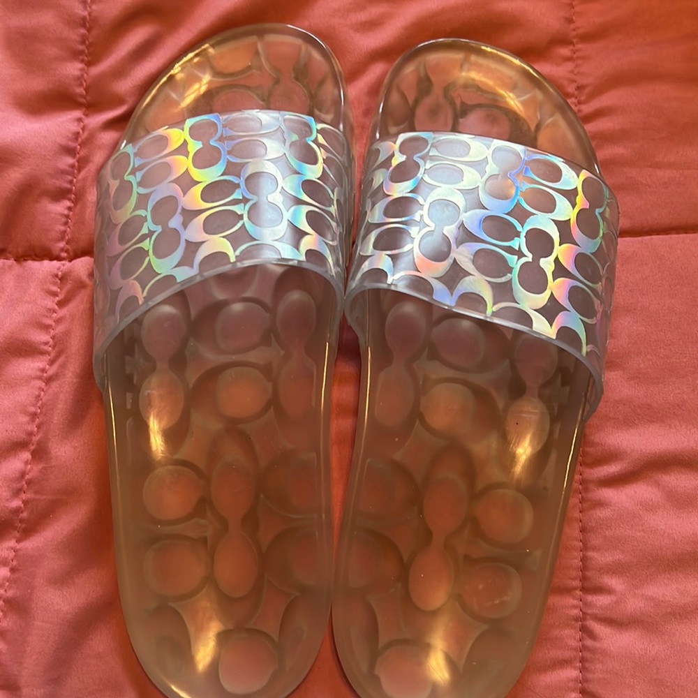 Iridescent Coach Slides